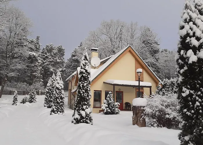 Forest Edge House